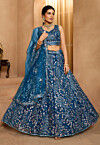 Embroidered Net Lehenga in Blue