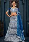 Embroidered Net Lehenga in Blue