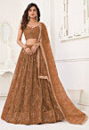 Embroidered Net Lehenga in Brown