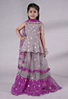 Embroidered Net Lehenga in Grey and Purple