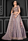 Embroidered Net Lehenga in Grey
