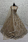 Hand Embroidered Net Lehenga in Light Brown