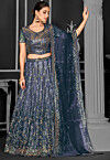 Embroidered Net Lehenga in Navy Blue