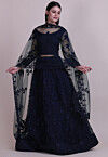 Embroidered Net Lehenga in Navy Blue