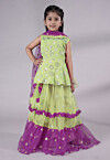 Embroidered Net Lehenga in Olive Green and Purple
