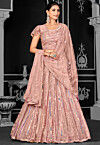 Embroidered Net Lehenga in Peach
