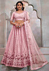 Embroidered Net Lehenga in Peach