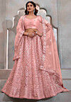 Embroidered Net Lehenga in Peach
