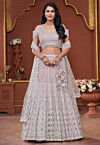 Embroidered Net Lehenga in Peach