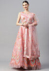 Embroidered Net Lehenga in Peach