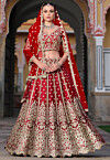 Embroidered Net Lehenga in Red