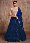 Embroidered Net Lehenga in Royal Blue