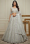 Embroidered Net Lehenga in White