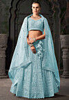 Embroidered Net Scalloped Lehenga in Blue