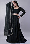 Embroidered Organza Lehenga in Black