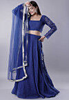 Embroidered Organza Lehenga in Blue