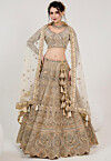 Hand Embroidered Net Lehenga in Beige