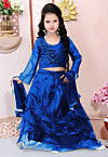 Hand Embroidered Organza Lehenga in Blue