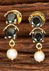 Stone Studded Earrings
