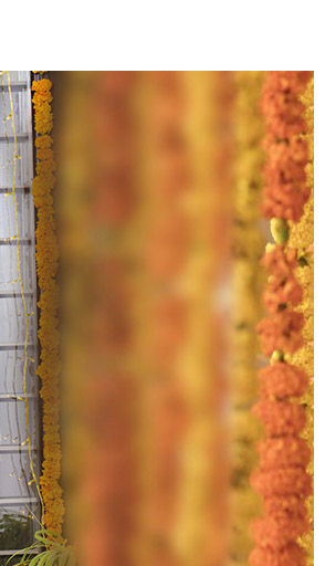 Diwali Family Gifting: Handloom Tant, Chanderi, Ikat, Block Prints and Oxidized Jewelry. Shop! Diwali Family Gifting: Handloom Tant, Chanderi, Ikat, Block Prints and Oxidized Jewelry. Shop!